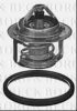 PSA 1607615180 Thermostat, coolant